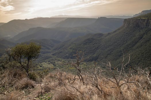 scenic landscape showing mountains and forest