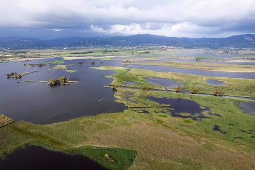 Aerial photographic documentation of the marshy area of Lake Massaciuccoli Tuscany 