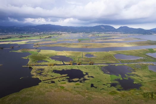 Aerial photographic documentation of the marshy area of Lake Massaciuccoli Tuscany 