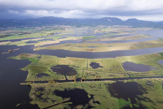 Aerial photographic documentation of the marshy area of Lake Massaciuccoli Tuscany 