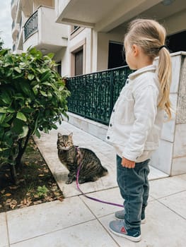 Little girl walking a tabby cat on a leash near the house. High quality photo