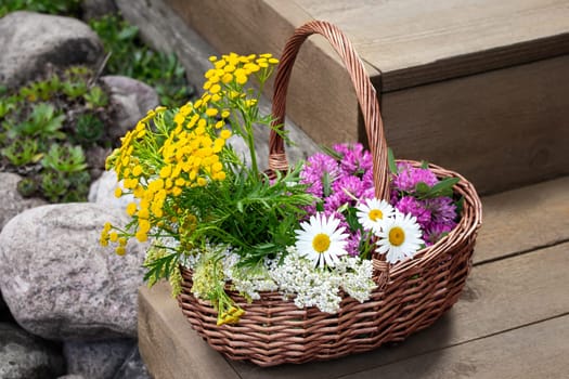 Medicinal herbs in a wicker basket on wooden steps.