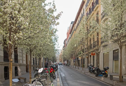 streets of madrid in spring. Madrid. Spain - March , 2021. The Arenal street in downtown Madrid, in Spain