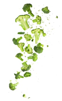 Broccoli pattern isolated on a white background. Various multiple parts of broccoli flower. Top view.