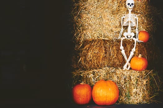 the night of October 31, the eve of All Saints' Day, commonly celebrated by children who dress in costume and go door asking for candy. Halloween skeleton on hay, pumpkins and black space for text