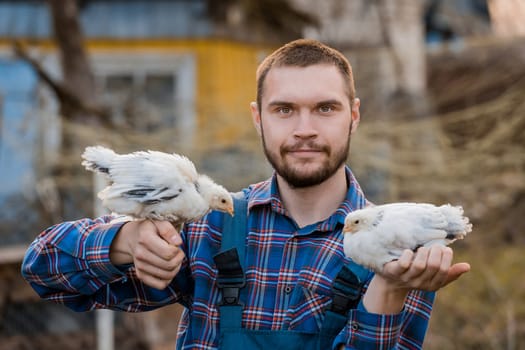 A satisfied farmer portrait of Caucasian a man with a beard, in overalls and a shirt, holds two white dwarf chickens in his arms against the backdrop of a countryside.