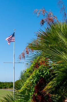 An American flag flies in the wind near tropical vegetation in south Florida