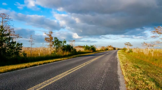 Asphalt road among swamps in a national park, Florida