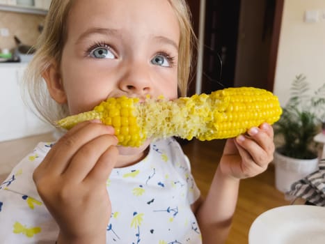 Little girl chewing on a corncob holding it with both hands. High quality photo