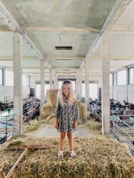 Little smiling girl stands on a haystack next to goat pens. High quality photo