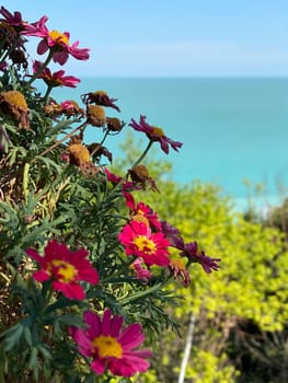 View of Adriatic Sea from Numana Italy video footage