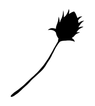 Hand Drawn Flower Bud Silhouette. Black Floral Illustration. Plant Silhouette Isolated on White Background.