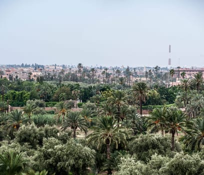 marrakech morocco rooftop view