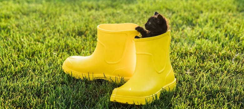 Cute black kitten sitting in yellow boots on grass. Cute image concept for postcards calendars and booklets with pet .