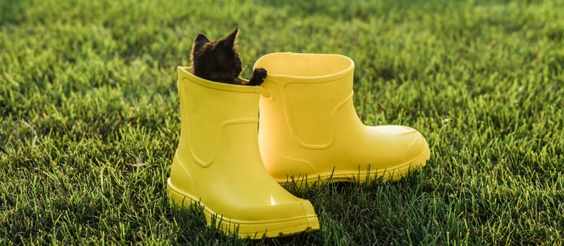 Cute black kitten sitting in yellow boots on grass. Cute image concept for postcards calendars and booklets with pet .