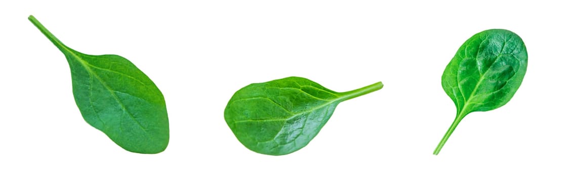Spinach leaves isolate on white background. Selective focus. Food.