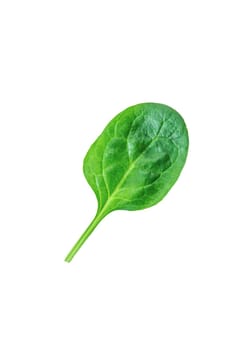 Spinach leaves isolate on white background. Selective focus. Food.