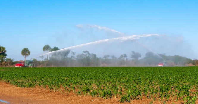 USA, FLORIDA - NOVEMBER 30, 2011: a fire truck spraying water on a field of corn, Florida