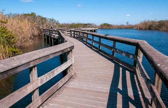 USA, FLORIDA - NOVEMBER 30, 2011: Wooden tourist bridge over crocodile swamp in national park, Florida