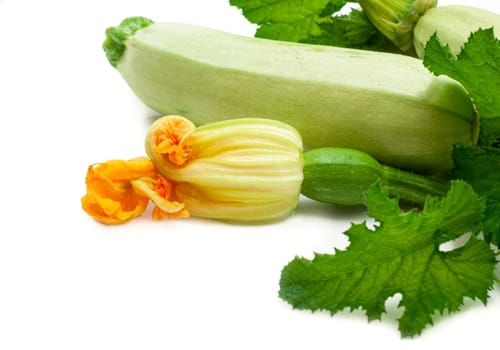 Flowers, leaves and vegetable marrow fruits isolated on a white background