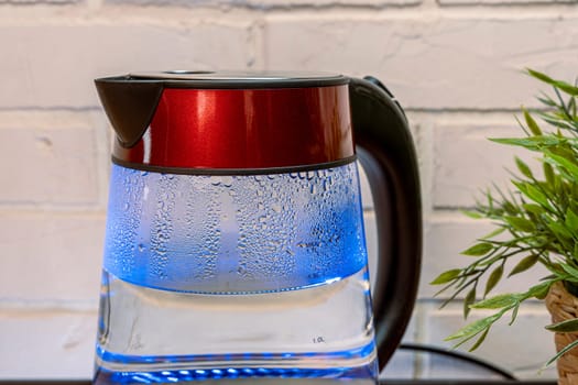 a new modern electric kettle with a blue neon LED backlight of heat-resistant glass, with condensation drops on the walls against a light brick wall and a green flower in a pot