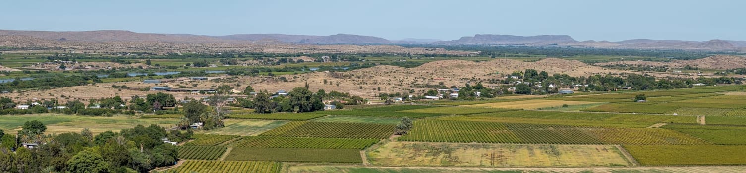 View from Tierberg to the west. Vineyards and the flooded Orange River are visible