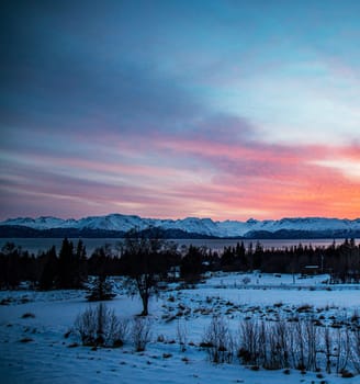 Magical Homer,Alaska pictures