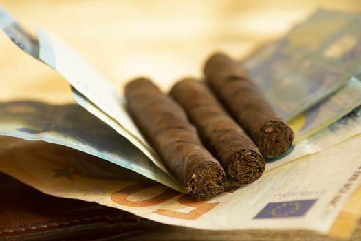 smoking costs concept with cigars leaning on banknotes