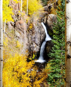 Magical Aspen autumn pictures