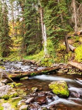 Magical Aspen autumn pictures