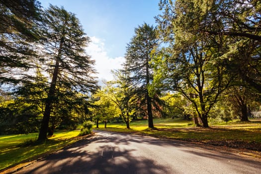 Maroondah Reservoir Park on a cool sunny autumn day near Healesville in Victoria, Australia