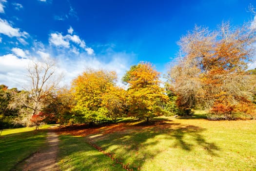 Maroondah Reservoir Park on a cool sunny autumn day near Healesville in Victoria, Australia