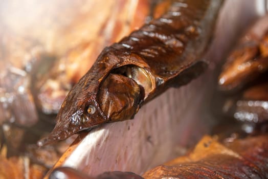 Hot smoked sturgeon. A whole hot-smoked sturgeon lies in the smoking shop. The process of smoking exotic fish. High quality photo