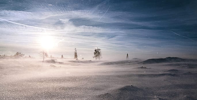 Beautiful High Fens, Belgium pictures