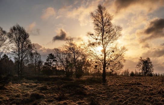 Creative High Fens, Belgium pictures