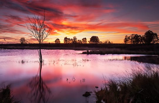 Creative High Fens, Belgium pictures