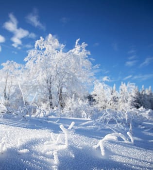 Creative High Fens, Belgium pictures