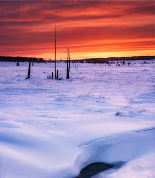 Creative High Fens, Belgium pictures