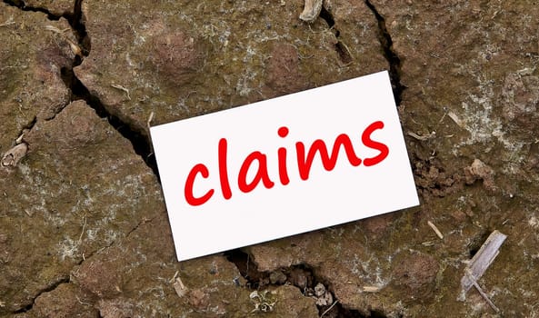 the claims card lies on dry, cracked ground. the concept of making a claim.