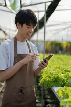 A farmer uses a phone to look at orders from customers, showing joy at harvesting vegetables from hydroponic farms. organic fresh vegetables Farmer working on a hydroponic vegetable garden