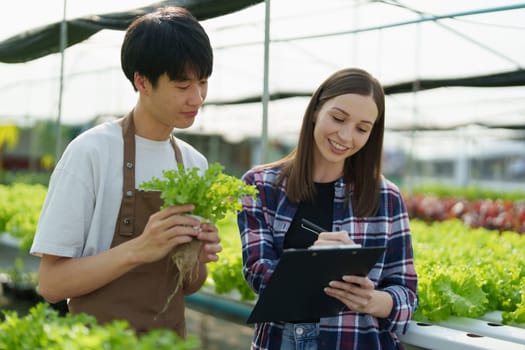 Woman Farmer harvesting vegetable and audit quality from hydroponics farm. Organic fresh vegetable, Farmer working with hydroponic vegetables garden harvesting, small business concepts