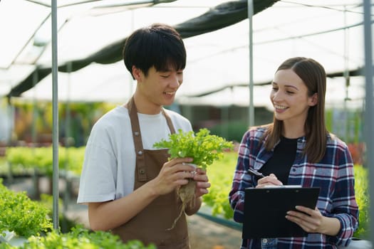 Woman Farmer harvesting vegetable and audit quality from hydroponics farm. Organic fresh vegetable, Farmer working with hydroponic vegetables garden harvesting, small business concepts