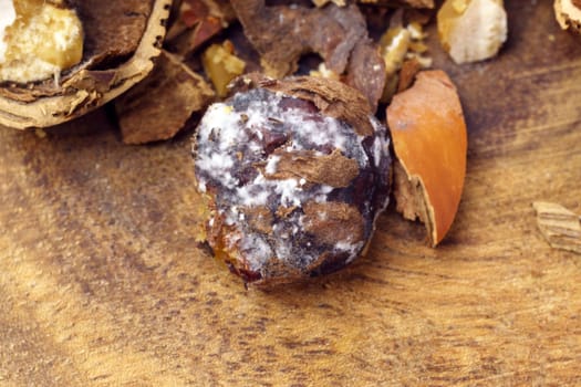 Spoiled hazelnuts by mold, hazelnuts peeled from the shell. Close-up macro