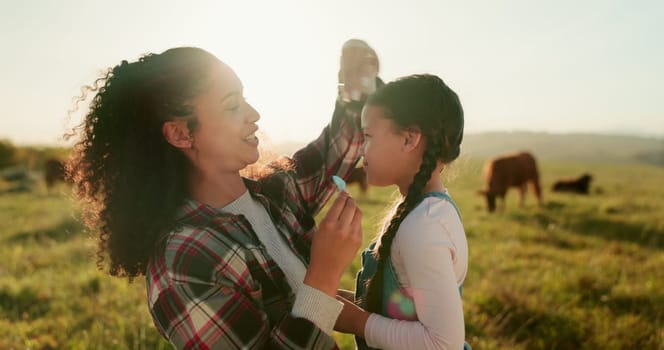 Cows, farm and mother bonding with child, fixing hair clip and standing on field. Farming, farm animals and mom with daughter in the morning enjoying sunrise in countryside showing love and affection.