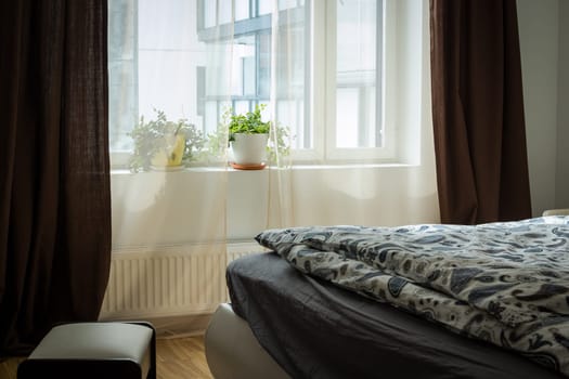 Bright bedroom interior with wide bed. interior apartment, loft furnished, bedroom.comfortable modular lounge suite. Modern interior houseplant, house plant