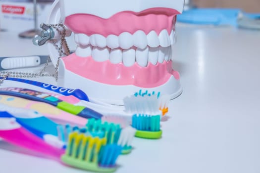 Dental model with toothbrush.whitening. tooth care. teeth healthy concept