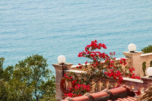 view to sea and bougainvillea flowers.Sea view from terrace