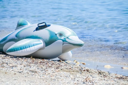 Fancy dolphin toy for kids.Animal swim tube for tourists on the beach