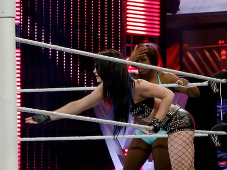 San Jose - March 30, 2015:  Paige was determined to help her partner Tag in the tag team match on Raw. 