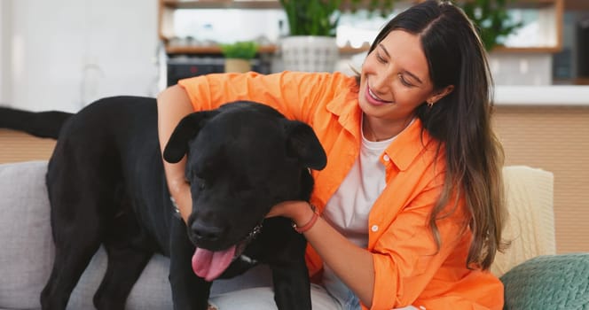 Woman, dog jumping on sofa in living room and fun, love and happy friendship with pets at home. Friends, quality time with pet and happiness, relax and petting animal on couch in apartment together